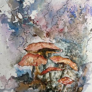 Mushrooms 2