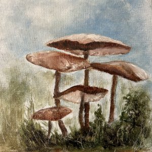 Mushrooms 4
